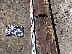 2005-06-17 Archäologie in Zossen
