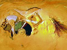2006-04-01 Fossilien aus der Jetztzeit - Ausstellung