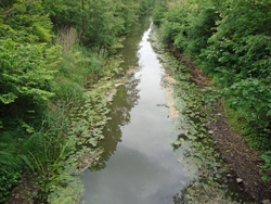 2006-09-27 Improvisierter Nottekanal