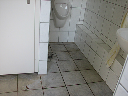2007-06-13 Erneut Wasserschäden durch Kanalisation