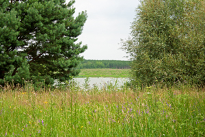 2009-07-04 Vereinsausflug nach Fürstlich Drehna