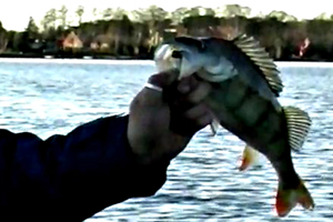 2011-02-05 Naturfilm "Abenteuer Natur"