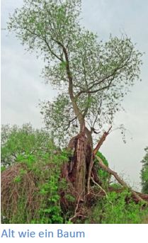 2012-05-05 Frühwanderung