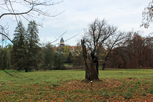 Impressionen - Schlosspark Wiesenburg