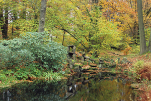 Impressionen - Schlosspark Wiesenburg