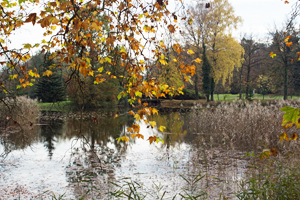 2013-10-26 Mitglieder und Freunde des Heimatvereins auf Tour