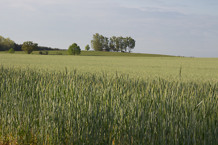 Mühlenberg Klaus Voeckler über die Geschichte des Berges
