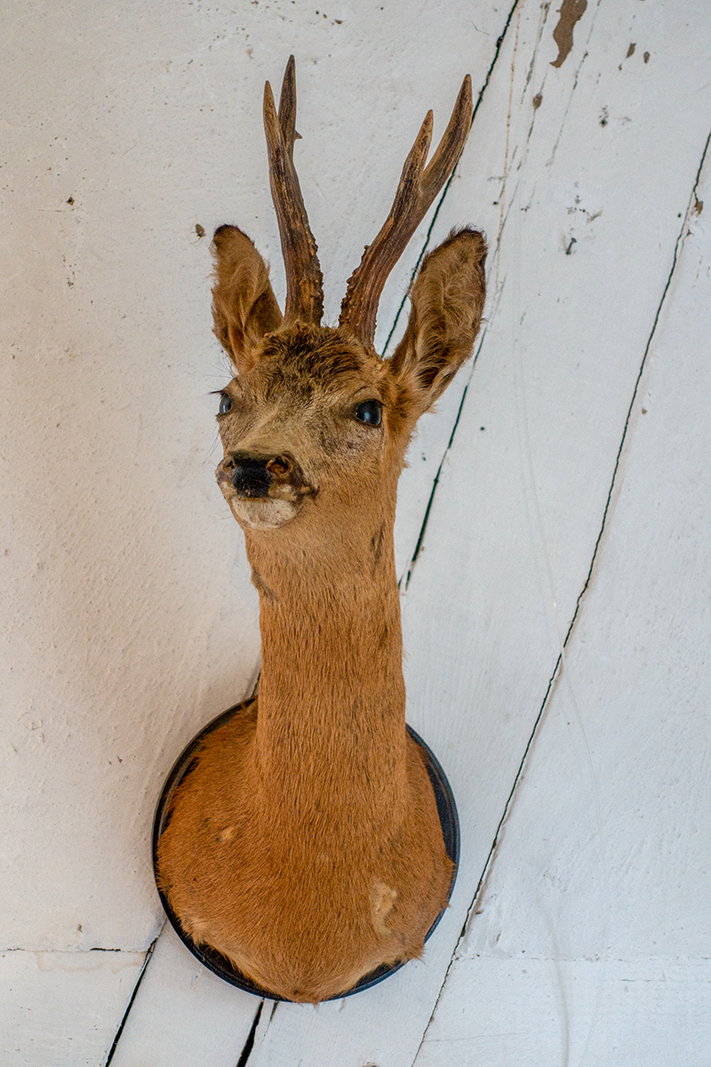 2019-04-27 Hegeausstellung eröffnet