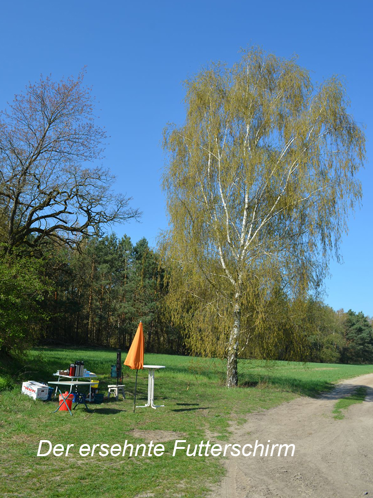 2022-04-23 Mit Stock und Stab durch die Flur