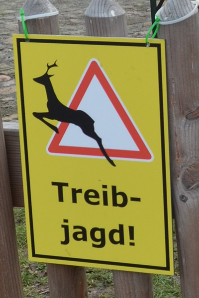 2023-01-07 Treibjagd in den Zossener Weinbergen