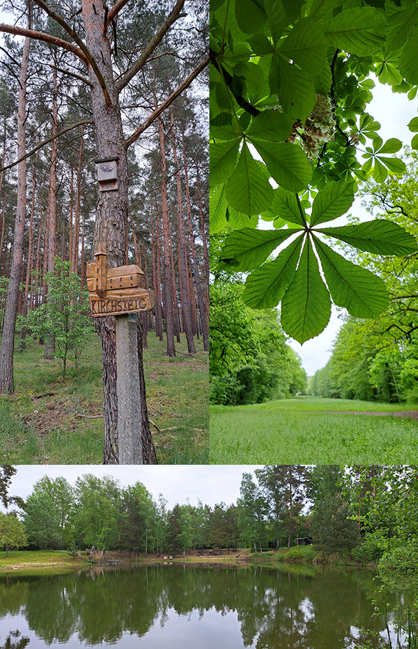2023-05-20 Frühwanderung