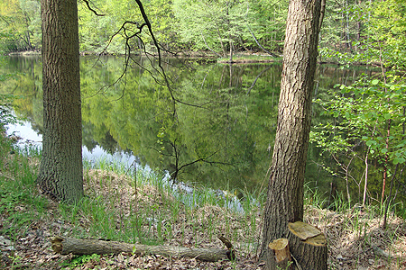 2002-03-30 Hubertus Mommert: Der Teltow