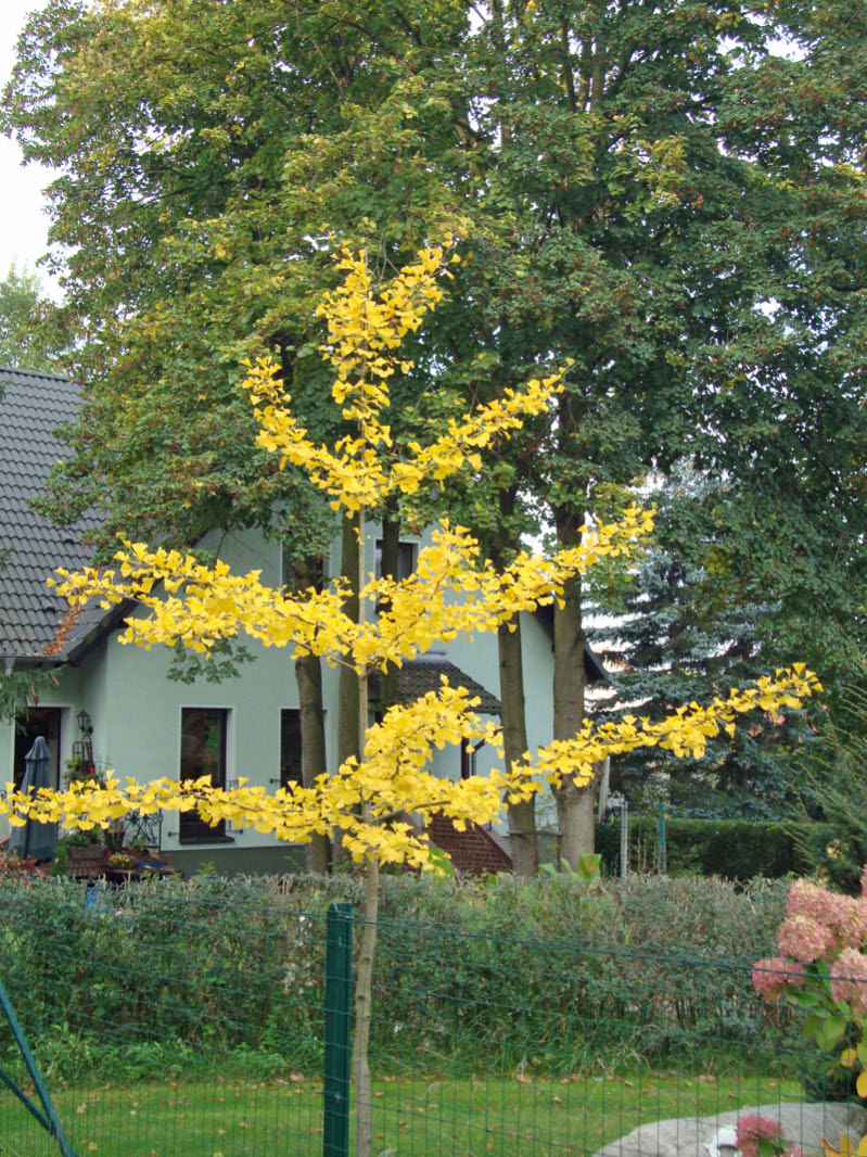 2010-10-09 Die drei Etappen – Tour