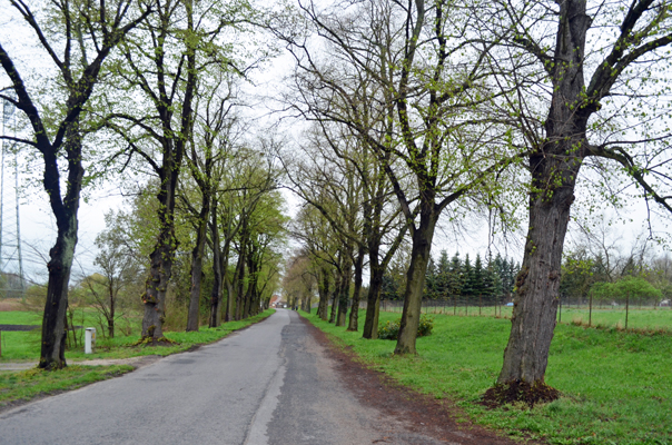2013-04-27 Vom „Alten Krug“ zum Gerlachshof
